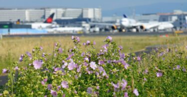 Fraport Tightens 2030 Carbon Target