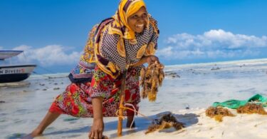 $54M Project to Create Youth Jobs in Zanzibar’s Blue Economy